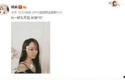 楊紫八卦爆料最新消息,揭秘明星背后的故事